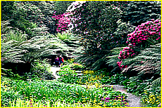 Cornwall Tourism Magazine - Meudon Hotel Garden - small